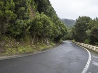 a mountain road with steep hillside and trees next to it and a hill top on the right