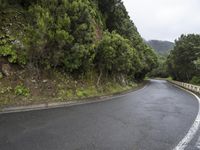 a mountain road with steep hillside and trees next to it and a hill top on the right