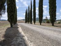 Tuscan Countryside Italy Scenic Road 002