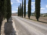 Tuscan Countryside Italy Scenic Road 004