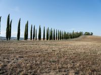 Tuscan Landscape: A Dirt Road in Nature