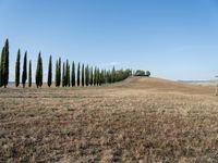 Tuscan Landscape: A Dirt Road in Nature