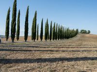 Tuscan Landscape: A Dirt Road in Nature