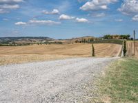 Tuscan Road in Italy: A Rural Landscape