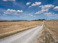 Tuscan Road in Italy: A Rural Landscape