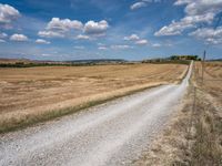 Tuscan Road in Italy Rural Landscape 008