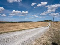 Tuscan Road in Italy: Rural Landscape 009