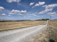 Tuscan Road, Italy Rural Landscape 010