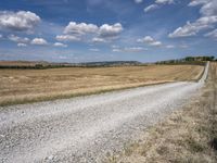 Tuscan Road in Italy: A Rural Landscape