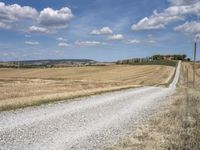 Tuscan Road in Italy: A Rural Landscape