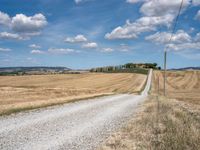 Tuscan Road in Italy: A Rural Landscape