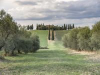 Tuscany Countryside Landscape Italy 001