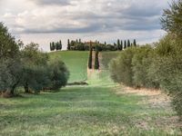 Tuscany Countryside Landscape - Italy 002