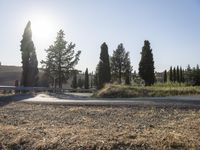 Tuscany Countryside: Sunshine and Clear Skies