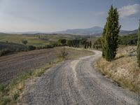 a country road in italy with cypress trees in the distance and mountains in the background