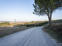 Tuscany: A Breathtaking Landscape of Trees and Clouds