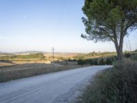 Tuscany: A Breathtaking Landscape of Trees and Clouds