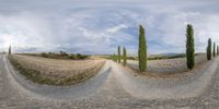 a series of fisheye photographs of a rural road and a view through an oval lens