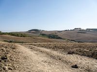 a dirt road with sparse grass in a field near hills and trees with trees in the distance