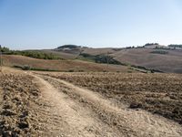 a dirt road with sparse grass in a field near hills and trees with trees in the distance