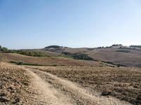 a dirt road with sparse grass in a field near hills and trees with trees in the distance