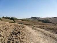 a dirt road with sparse grass in a field near hills and trees with trees in the distance