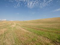 a farm field with freshly mowed grass under a partly blue sky in the distance