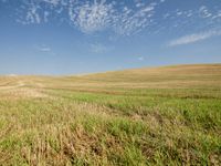 a farm field with freshly mowed grass under a partly blue sky in the distance