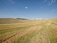 a farm field with freshly mowed grass under a partly blue sky in the distance