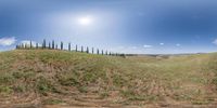 a panoramic picture showing a lone field and a mountain in the background with trees and shrubs in it