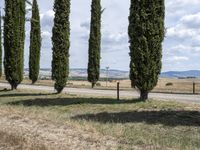 Tuscany Forest Road Green Landscape Nature 002