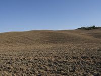 a horse standing in a field under a blue sky on a farm land with no animals