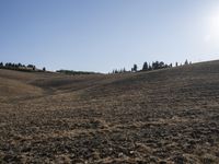 a horse standing in a field under a blue sky on a farm land with no animals