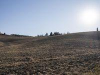 a horse standing in a field under a blue sky on a farm land with no animals