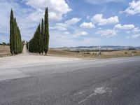 Tuscany: An Italian Landscape of Lush Green