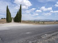 Tuscany: An Italian Landscape of Lush Green