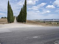 Tuscany: An Italian Landscape of Lush Green