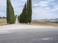 Tuscany: An Italian Landscape of Lush Green