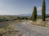 Tuscany, Italy: Clear Sky Over a Beautiful Garden