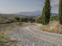 Tuscany, Italy: Clear Sky Over a Beautiful Garden