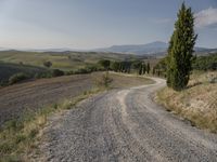 Tuscany, Italy: Clear Sky Over a Beautiful Garden