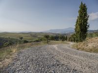 Tuscany, Italy: Clear Sky Over a Beautiful Garden