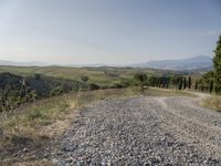 Tuscany, Italy: Clear Sky Over a Beautiful Garden