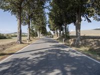 Tuscany, Italy: Clear Sky Landscape