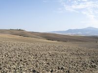 a brown hill on a clear day with a tree near by and dirt fields below