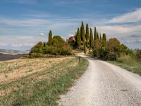 a lone country road leads to an old mansion on a hill in the distance with trees and flowers