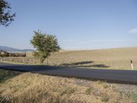 road with no traffic on it with a single curve sign at the center and fields in background