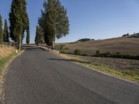 Tuscany, Italy: A Garden of Cypress Trees