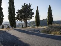 Tuscany Italy Dawn Rugged Landscape 001