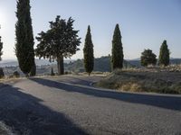 Tuscany Italy Dawn Rugged Landscape 002